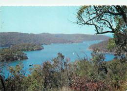 Australie - Australia - Elvina Bay - This Tranquil View Across The Calm Expanses Of Pittwater Towards Elvina Bay, Lovett - Zonder Classificatie