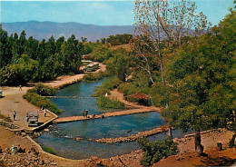 Israel - Banias - One Of The Trhee Sources Of The River Jordan - Automobiles - Bus - Une Des 3 Sources De La Rivière Jor - Israel