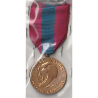 MEDAILLE - DEFENSE NATIONALE - BRONZE - Other & Unclassified