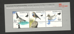 NETHERLANDS - MNH BLOCK - FAUNA - BIRDS - 1994. - Neufs