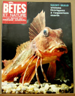 067/ LA VIE DES BETES / BETES ET NATURE N° 67 Du 8/1969, Voir Sommaire - Animaux