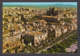079169/ PALMA, Vista Aérea Del Paseo De Sagrera, La Lonja Y La Catedral - Palma De Mallorca