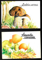 [MD9133] CPM - SERIE DI 2 CARTOLINE - 1° MOSTRA MICOLOGICA DIDATTICA - PARCO REGIONALE LA MANDRIA - PERFETTE - NV - Champignons