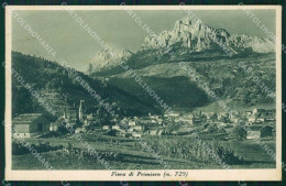 Trento Fiera Di Primiero Cartolina VK0584 - Trento