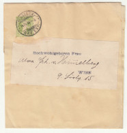 Switzerland Postal Stationery Newspaper Wrapper Posted 1908 B240401 - Entiers Postaux