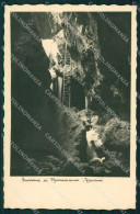 Trento Mezzacorona Burrone Di Grotta Orrido Foto Cartolina VK0991 - Trento