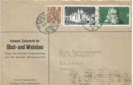 Suisse Wadenswil 1apr1948 CV To Italy With Constitution C5+c10+ Landscapes C.25 Gaufré !!!! - Marcophilie