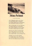 Musik Und Lied: Mine Heimat Ngl #161.091 - Musique Et Musiciens