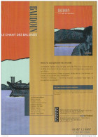 BAUDOUIN : Flyer Info Presse DUPUIS Pour CHAMP DES BALEINES - Autres & Non Classés