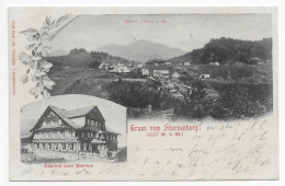 Heimat Zürich : Gasthof Zum Sternen Sternenberg Um 1904, Eckbug Rechts Oben - Sternenberg