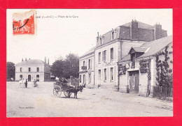 F-41-Droue-06Ph90  La Place De La Gare, Hôtel, Attelage à âne,cpa BE - Droue