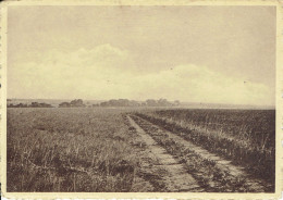 Parc National De L'UPEMBA : La Route Lusinga-Mitwaba Sur Le Plateau Herbeux - Belgian Congo