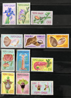 Lot De 12 Timbres Neufs** Maroc 1965 - Morocco (1956-...)