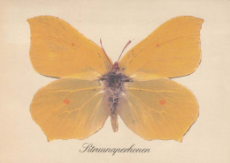 SCHMETTERLINGE Tier Vintage Ansichtskarte Postkarte CPSM #PBS444.A - Butterflies