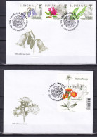 SLOVENIA 2024,FLORA,PLANTS OF THE POHORJE,HIERACIUM,,BLOCK,FDC - Slovénie