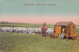 EN BEAUCE CABANE DE BERGER PARC A MOUTONS ELEVAGE METIER CAMPAGNE AGRICULTURE - Crías