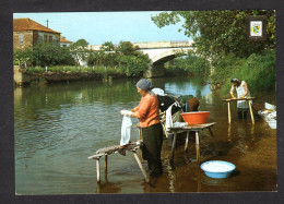 Portugal - N° 670 - Lavadeiras - Lavandières - 4 Femmes Lavent Leur Linge à La Rivière - Laveuses - Autres & Non Classés