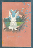 3 Cartes - Relief - Gaufrée - Embossed - Prage - Lapin - Pâques