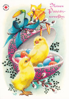 Postal Stationery - Chicks With Eggs - Happy Easter - Red Cross - Suomi Finland - Postage Paid - Lars Carlsson - Postal Stationery