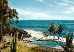 1 AK Insel Réunion * Bords De Mer Aux Environs De St-Philippe - Übersee-Departement Von Frankreich Im Indischen Ozean * - Réunion