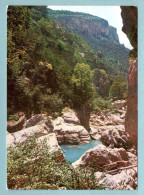 CP Provence Alpes Côte D'Azur -  Gorges Du Verdon - Trescaïre, Par Le Sentier TCF - Provence-Alpes-Côte D'Azur
