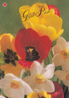 Postal Stationery - Easter Flowers - Daffodils - Red Cross 1993 - Suomi Finland - Postage Paid - Postwaardestukken