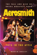 AEROSMITH DE MARTIN HUXLEY (1995) - THE FALL AND RISE OF ROCKS GREATEST BAND - TOYS IN THE ATTIC - Ontwikkeling