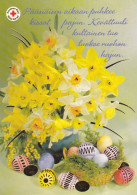 Postal Stationery - Easter Flowers - Daffodils - Narcissus - Eggs - Red Cross 2005 - Suomi Finland - Postage Paid - Ganzsachen