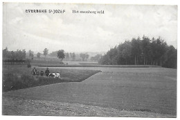 CPA Everbeke St Jozef, Het Steenberg Veld - Brakel