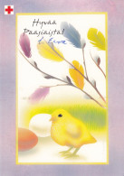 Postal Stationery - Bird - Chick - Happy Easter - Red Cross 2003 - Suomi Finland - Postage Paid - Aalto - Entiers Postaux