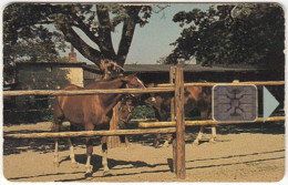 CZECH REP. B-468 Chip TelecomPraha - Animal, Horse - Used - Tschechische Rep.