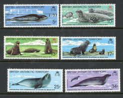 British Antarctic Territory MNH 1982 - Unused Stamps