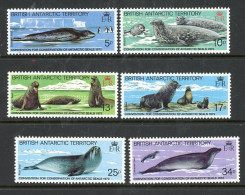 British Antarctic Territory MNH 1982 - Nuevos