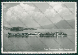 Verbania Stresa Isola Pescatori Lago Maggiore Foto FG Cartolina KV8418 - Verbania
