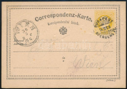 1876 Osztrák 2kr Díjjegyes Levelezőlap "BUDAPEST ODERBERG 21" Vasúti Bélyegzéssel Jablunkauból Bécsbe - Sonstige & Ohne Zuordnung