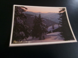 BELLE CARTE PHOTO..DE BERNARD GRANGE......PAYSAGE DE MONTAGNE...FLAMME LA PLAGNE 30-12-1987 - Sonstige & Ohne Zuordnung