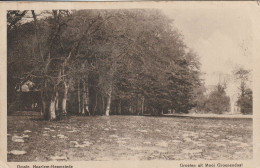 Pays Bas Omstr Haarlem Heemstede Groelen Uit Mooi Groenendaal édition J H Schaefer's - Haarlem