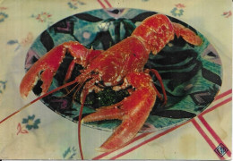 Homard - Vissen & Schaaldieren