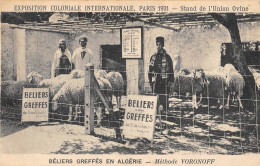 CPA ALGERIE / BELIERS GREFFES EN ALGERIE / METHODE VORONOFF / STAND DE L'UNION OVINE - Autres & Non Classés