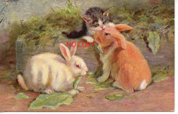 CPA Dessin Chat Chaton Lapins Union Postale Universelle Série 217. 1906. Illustration MISTACK - Chats