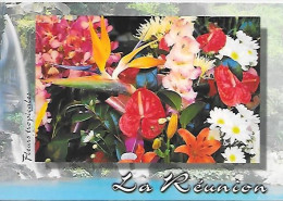 CPM La Réunion Fleurs Tropicales - Riunione