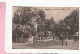 ISMAILIA AVENUE DE MOHAMED ALY - Ismailia