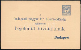 1902 Rendőrségi Bejelentő Lap 5f Használatlan Díjjegyes Nyomtatvány - Other & Unclassified