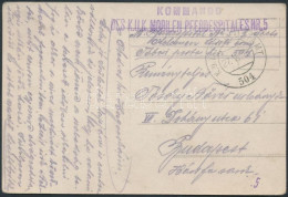 1916 Tábori Postai Fotólap "KOMMANDO DES K.U.K. MOBILEN PFERDESPITALES NR.5" és "FP 504" - Otros & Sin Clasificación