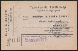 1918 Tábori Posta Levelezőlap "TP 290" - Other & Unclassified