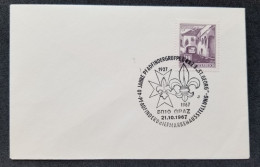 Austria 40th Anniversary Scout 1967 Scouting Jamboree Scouts (stamp FDC) - Storia Postale