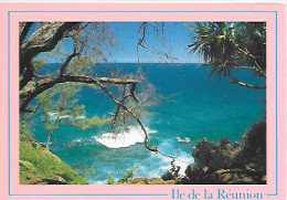 CPM La Réunion Manapany - Riunione