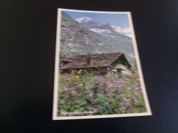 BELLE CARTE PHOTO..DE BERNARD GRANGE......PAYSAGE DE MONTAGNE..VIEILLE  MAISON - Other & Unclassified