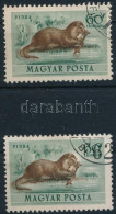O 1953 Erdei állatok 60f Eltolódott Barna Színnyomat + Támpéldány - Autres & Non Classés