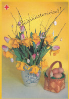 Postal Stationery - Easter Flowers - Willows - Eggs In The Basket - Red Cross 1997 - Suomi Finland - Postage Paid - Postal Stationery